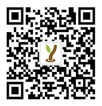 企業(yè)微信號(hào)